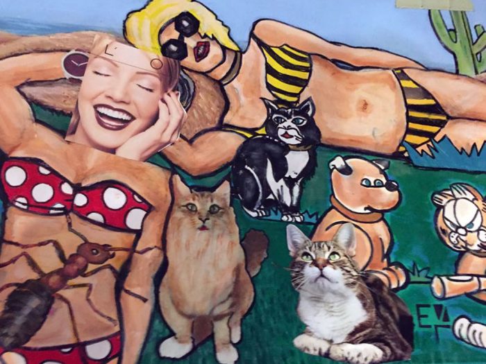 Baden mit Katzen